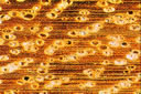 M612.jpg