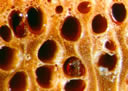 M622.jpg