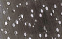 M647.jpg