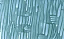 M701.jpg