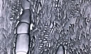 M802.jpg